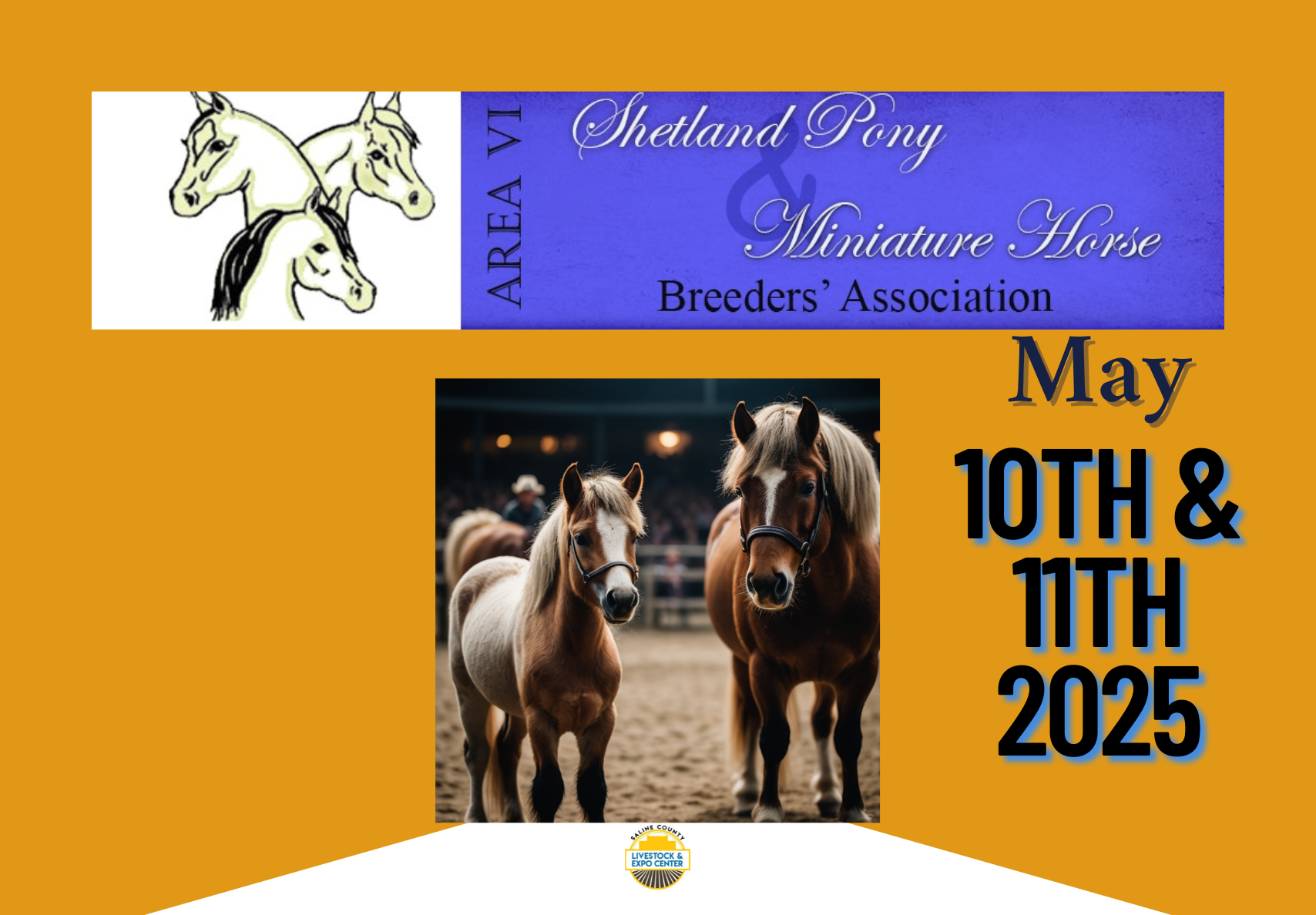 Mini Horses and Shetland Pony show coming to the expo in May. Make plans to attend and support these organization.  - News Image